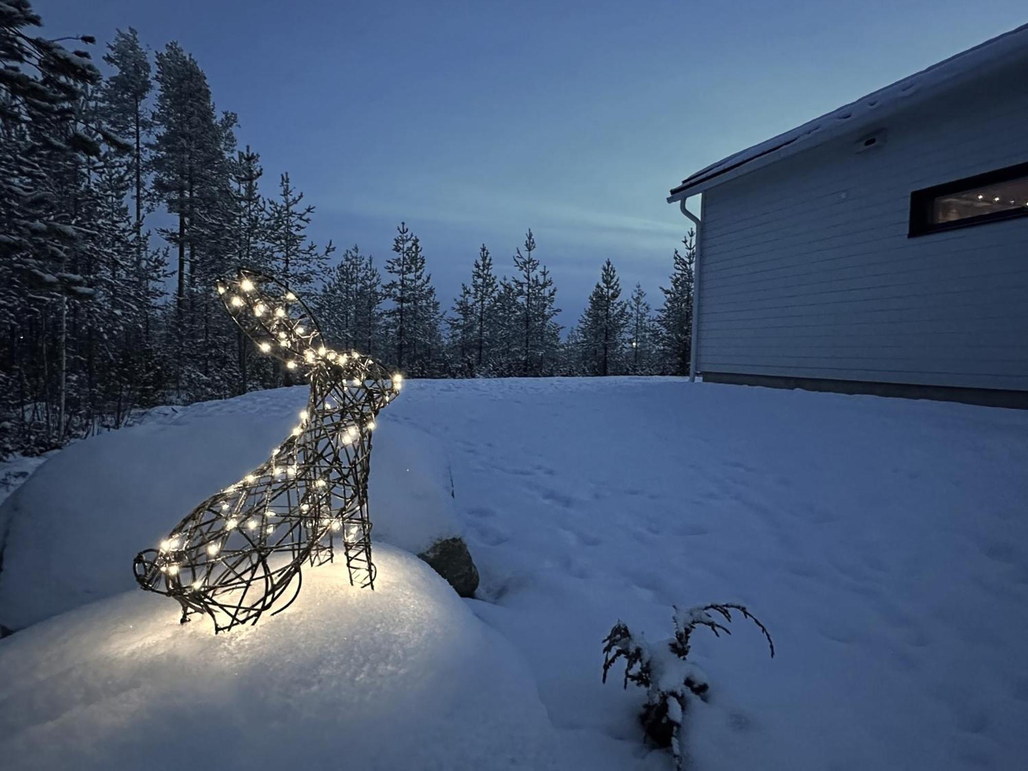 Brand New! Moon Villa Rovaniemi
